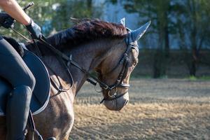 Sardinia horse riding tour guide