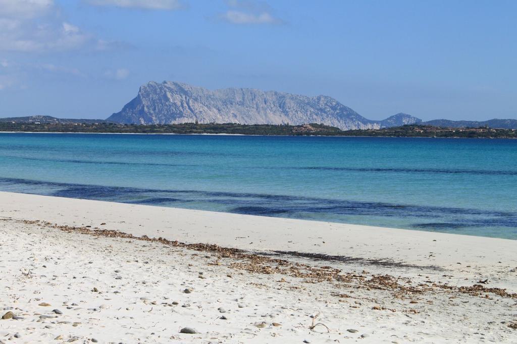 Tavolara island view from a beach close to Olbia