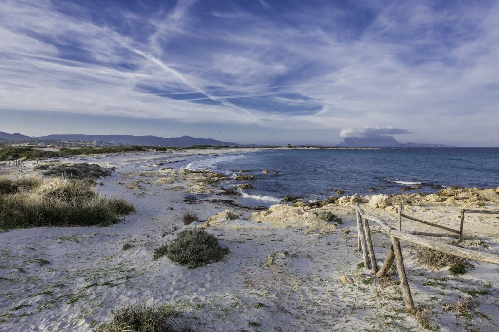 Sardinia Tavolara Beach view