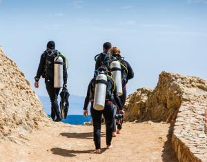 Sardinia diving tour guide