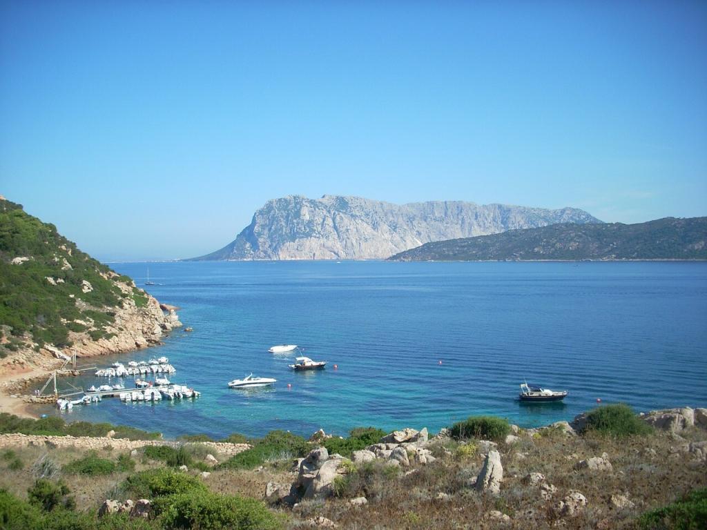 Tavolara Island Boat Tour